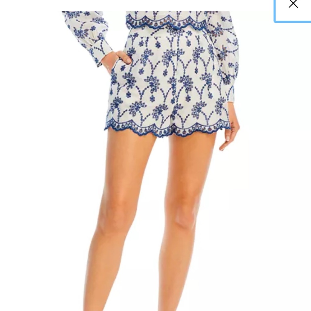 Aqua High Rise Eyelet Embroidered Shorts size large